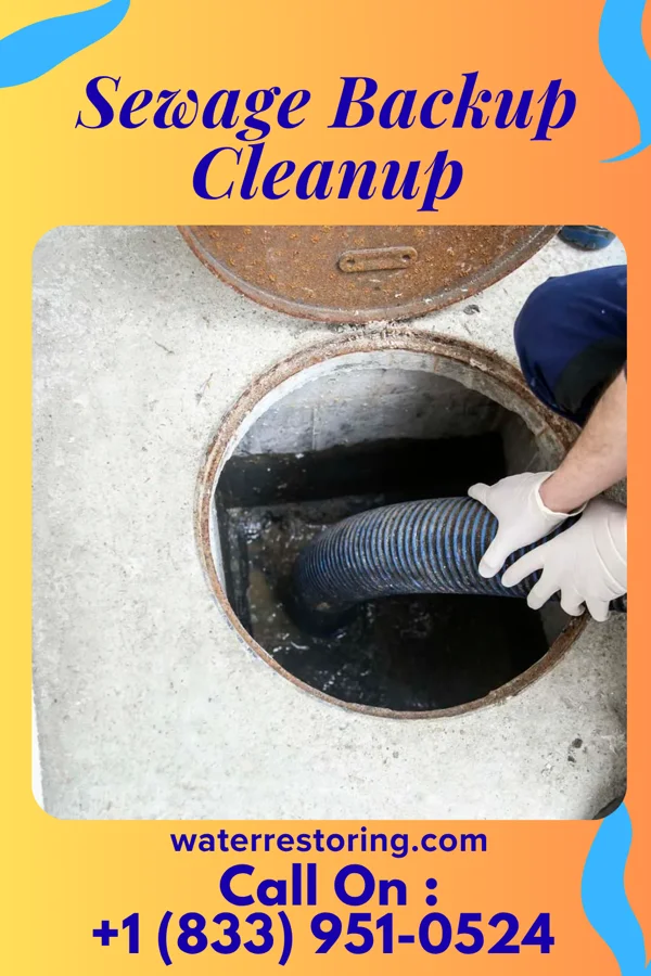 Sewage Backup Cleanup in Zihlman, MD