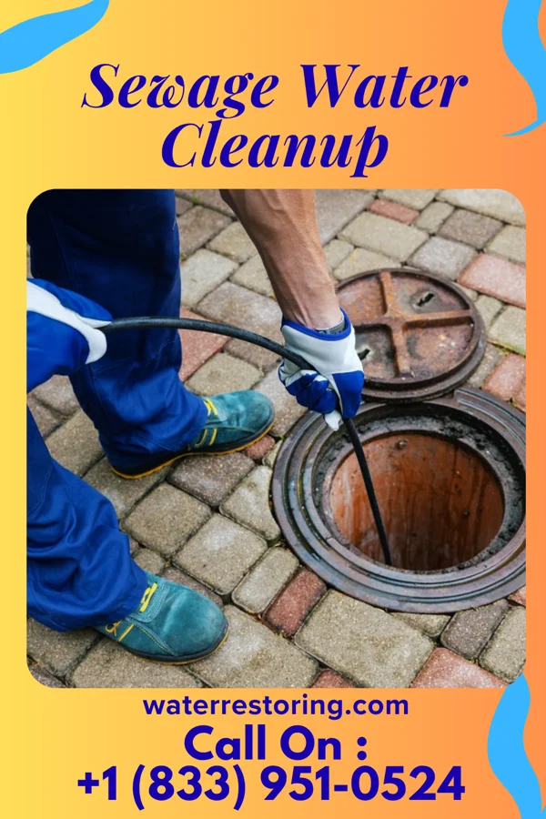 Sewage Water Cleanup in Zihlman, MD