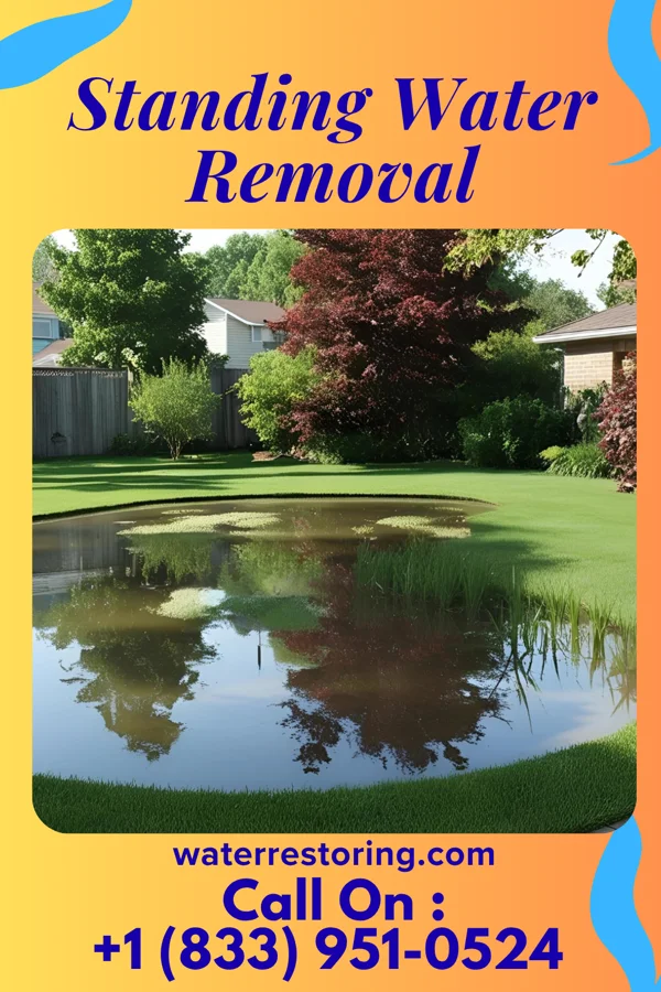 Standing Water Removal in Zihlman, MD